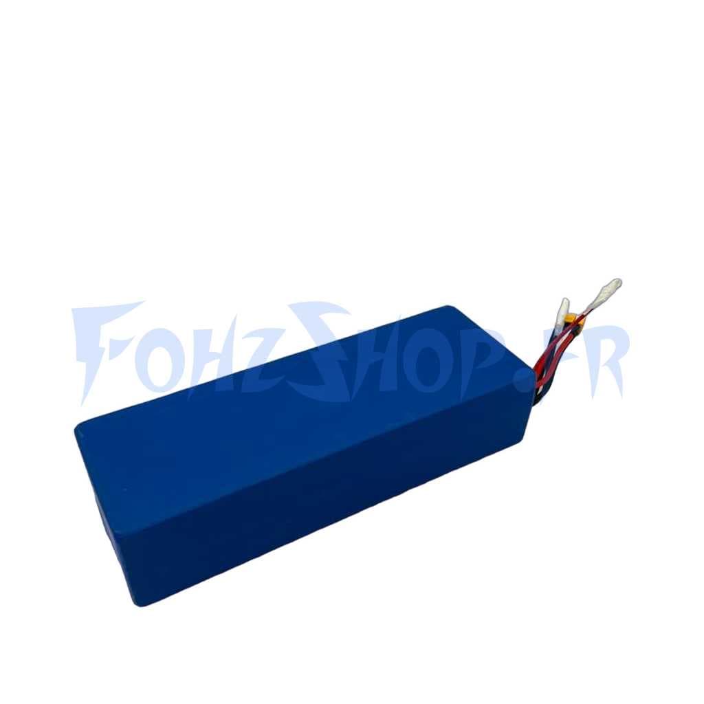 Batterie 52V 25Ah reconditionnée pour Dualtron Pop