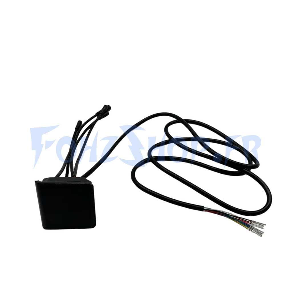 Display EY2 pour Dualtron Togo & Togo Plus