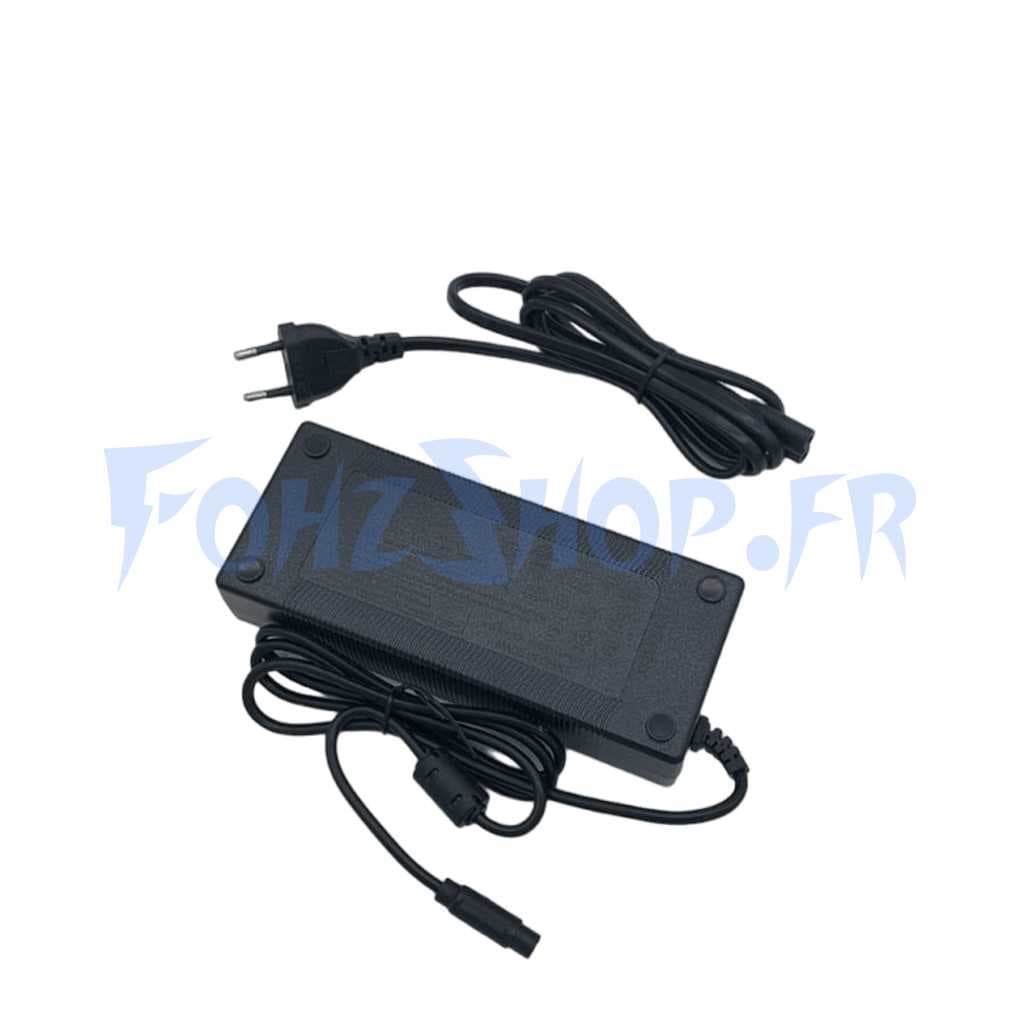 Chargeur pour Inmotion L9 / S1F
