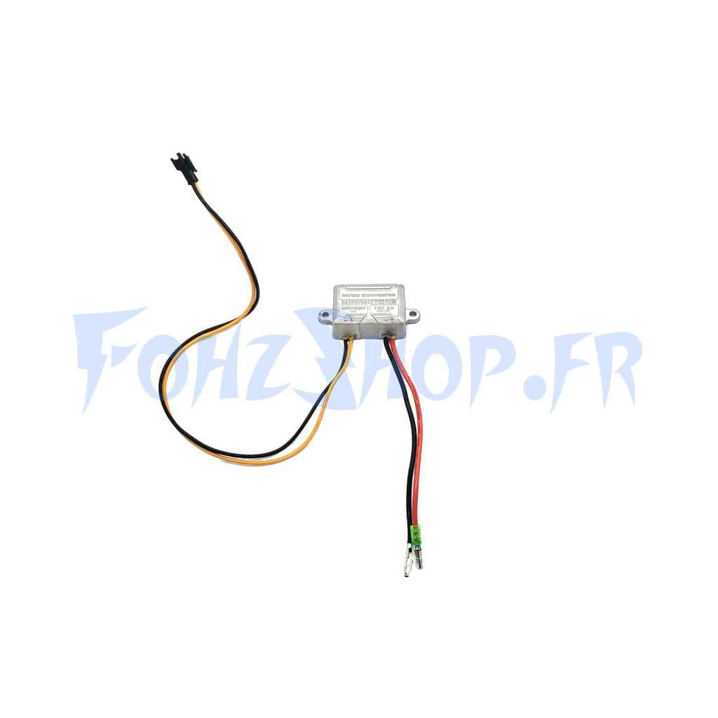 Convertisseur DC pour Dualtron & Rovoron