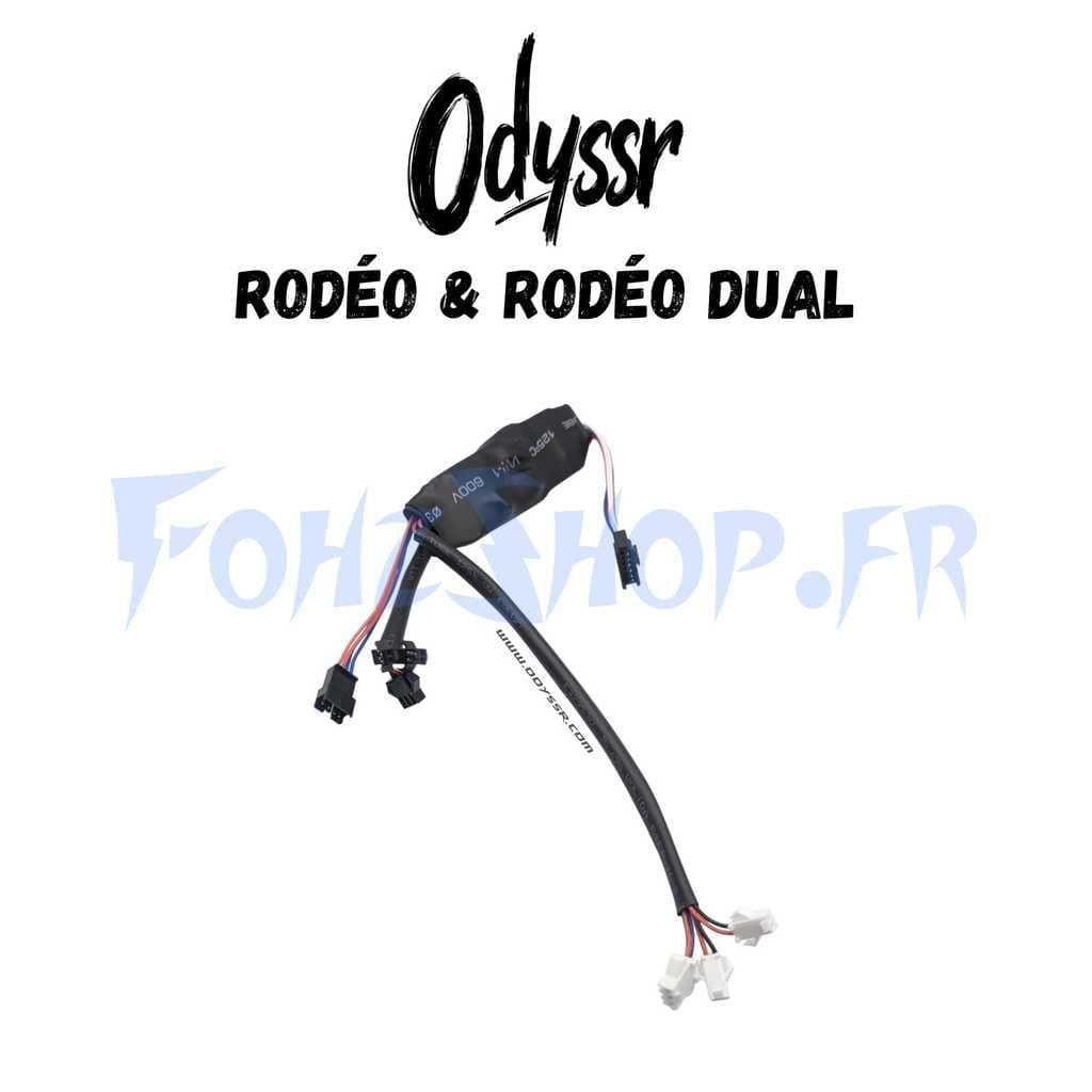 Convertisseur LED pour Odyssr Rodeo & Rodeo Dual
