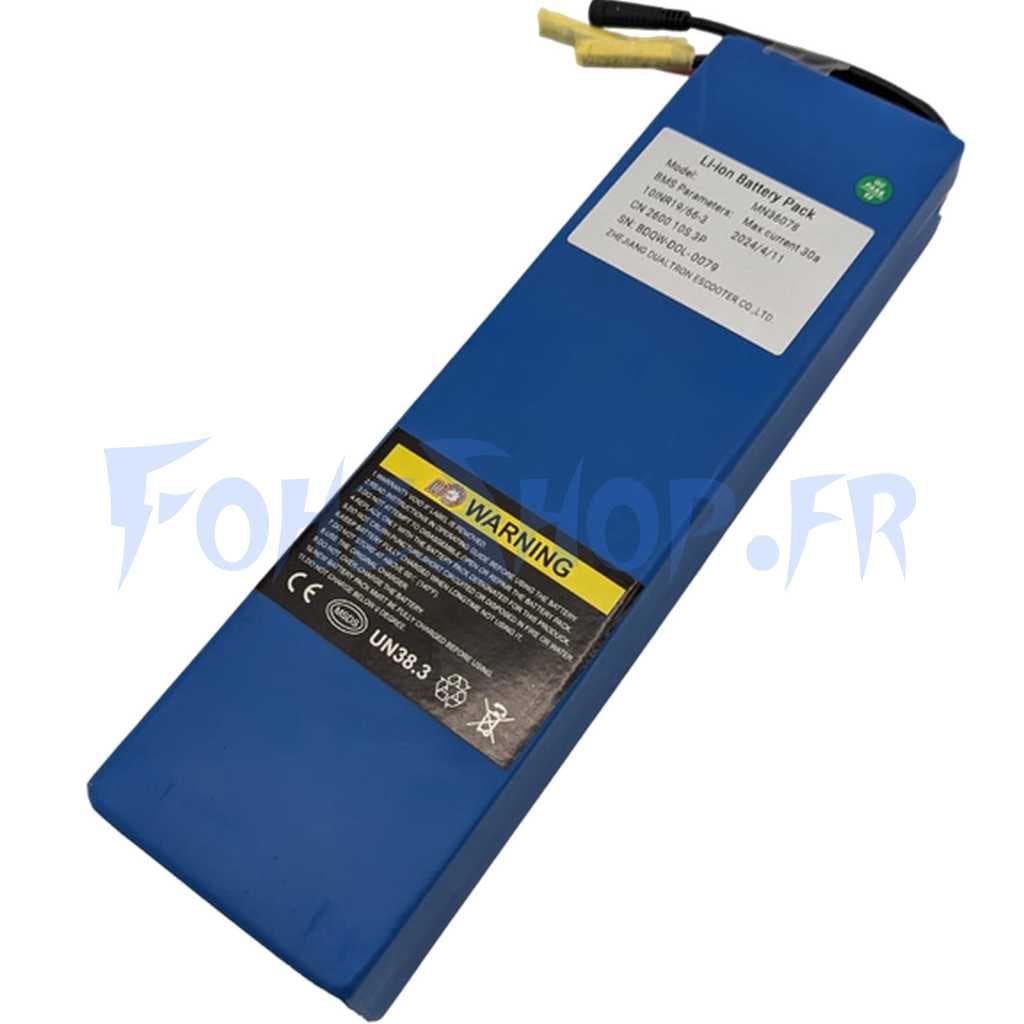 Batterie 36V 7,8Ah pour Dualtron Dolphin