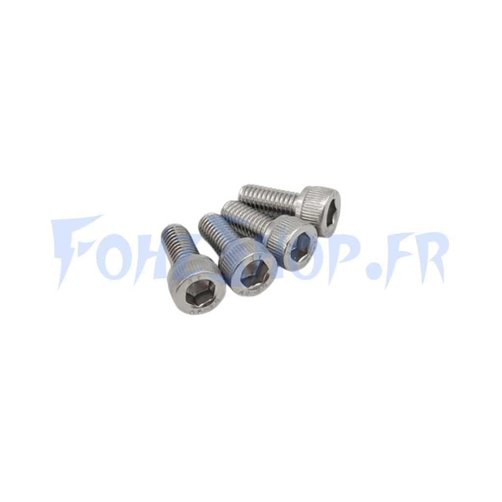 Vis support guidon M6x14 SUS304 pour Dualtron Togo & Togo Limited