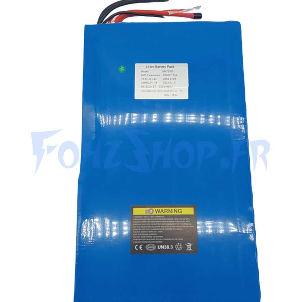 Batterie 72V 40Ah pour Dualtron Thunder 2