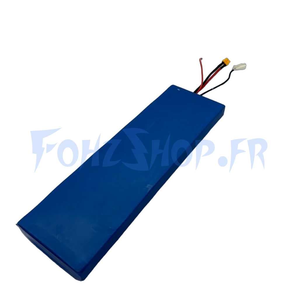 Batterie 48V 15Ah pour Dualtron Togo Plus