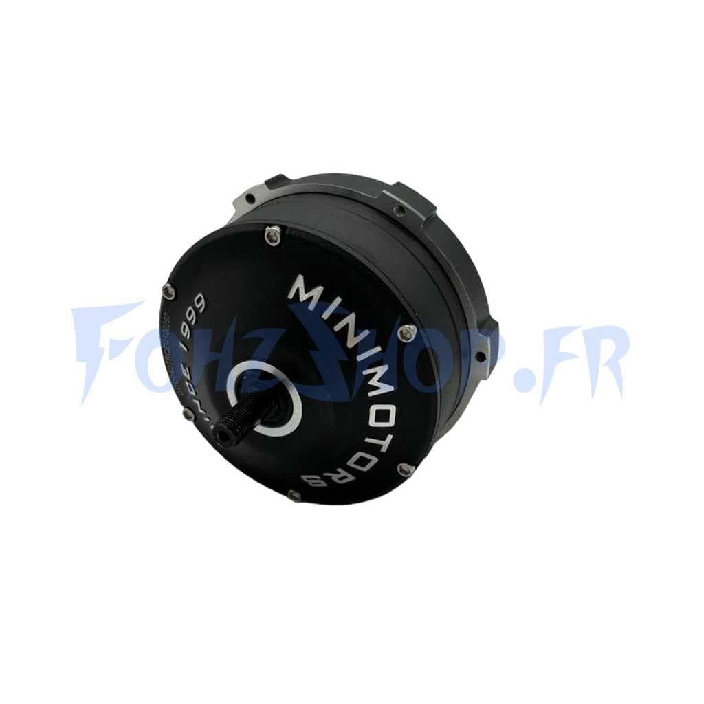 Moteur 48V pour Dualtron Togo & Togo Pro
