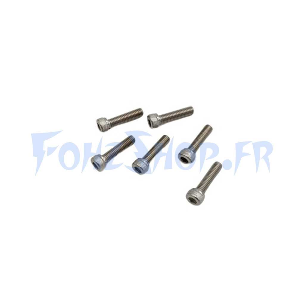 Vis de jante pour Dualtron Mini (x6)