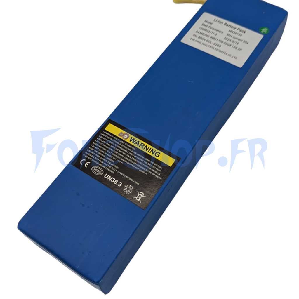 Batterie 36V 15Ah pour Dualtron Dolphin
