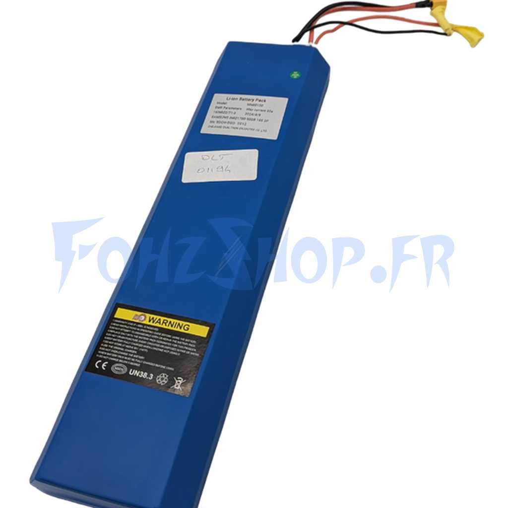 Batterie 60V 15Ah pour Dualtron Togo LTD