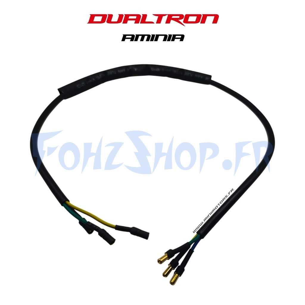 Câble moteur pour Dualtron Aminia
