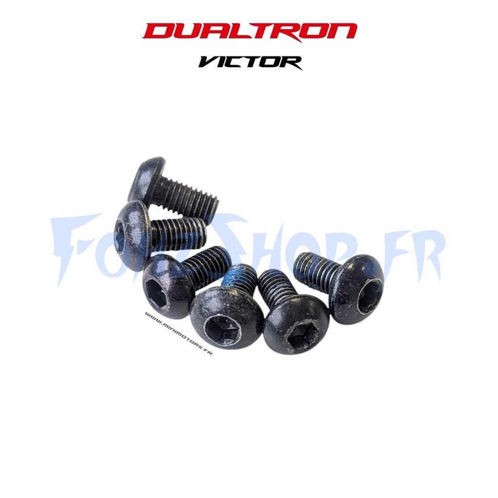 Vis de disque de frein x6 pour Dualtron Victor