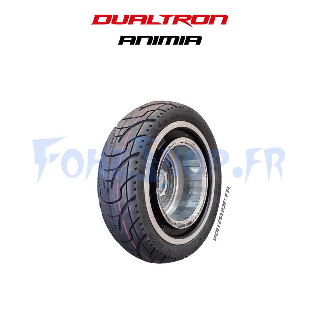 Pneu et jante arrière pour Dualtron Aminia double moteur
