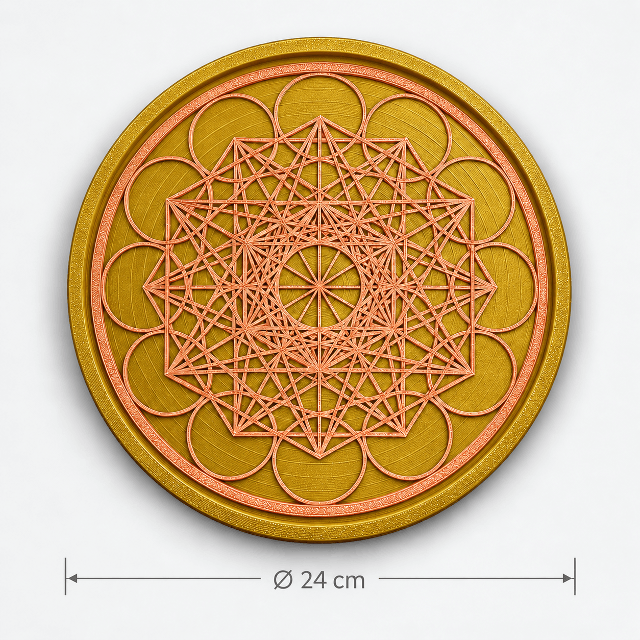 StructFood 24 cm – Plateau de structuration