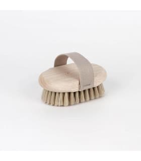 Brosse de Massage pour Brossage Ă Sec