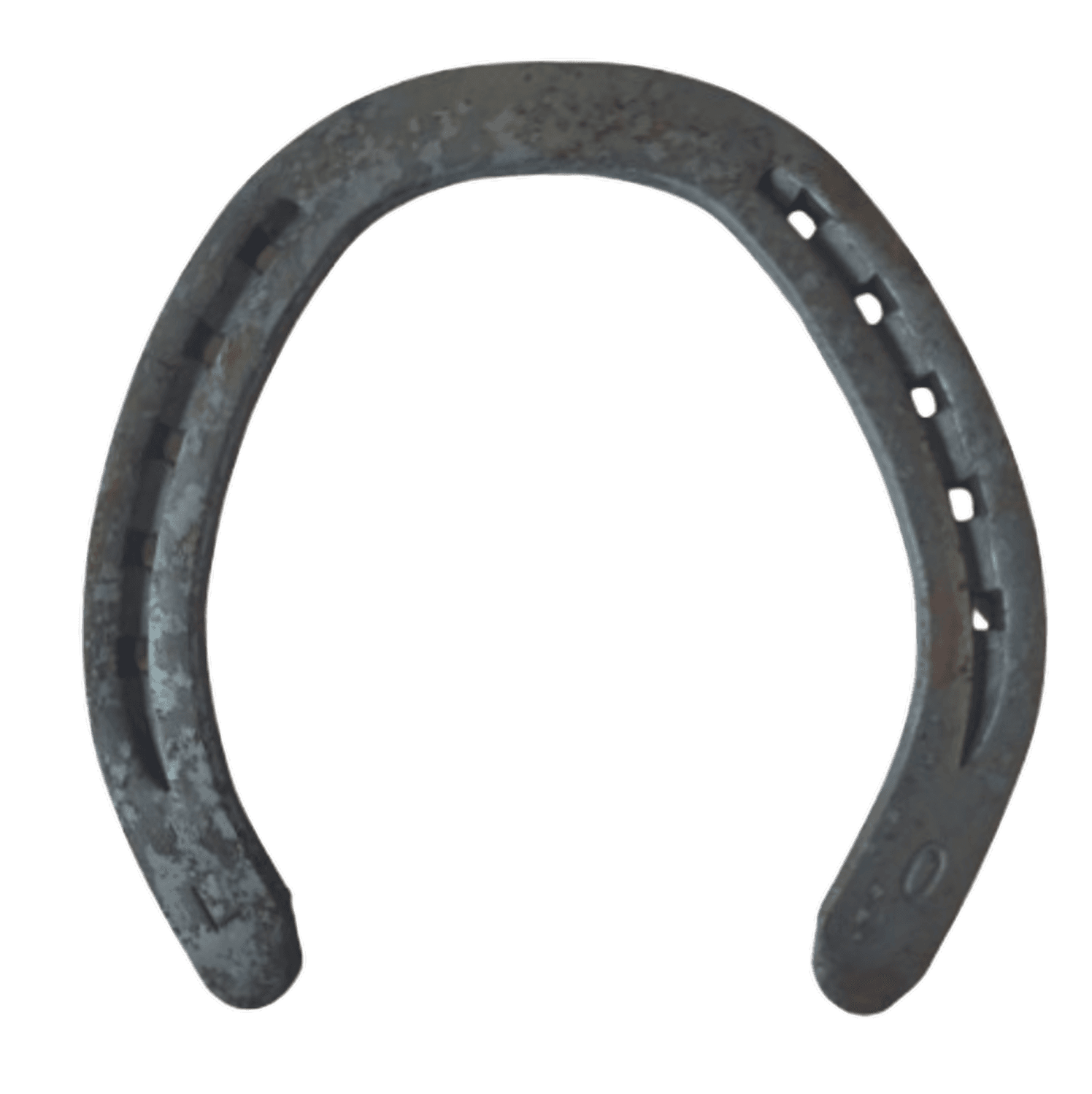 Fer Acier Plat Trot 16x5 Pos SSP Redijan N°0