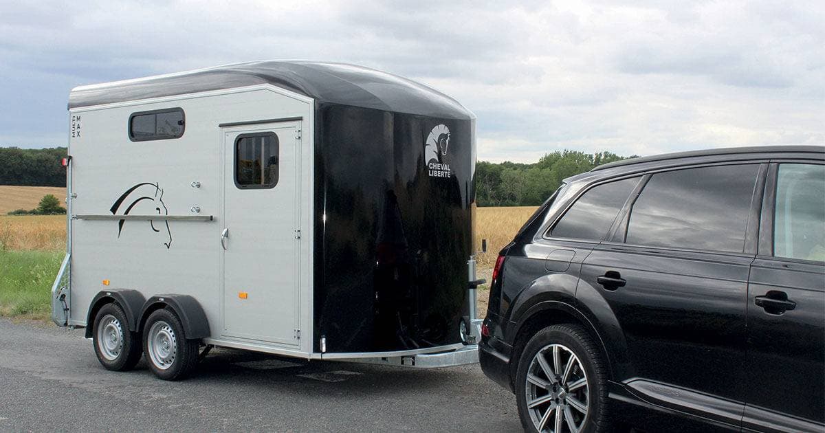 CHEVAL LIBERTE - MULTIMAX