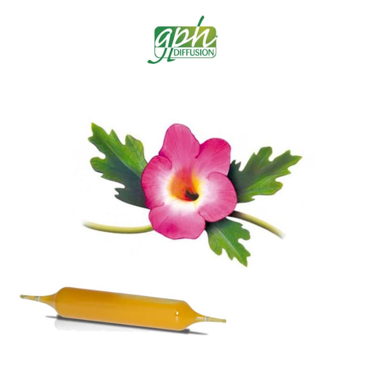 Complément alimentaire Harpagophytum 20 ampoules