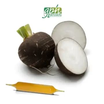 Complément alimentaire Radis noir 20 ampoules