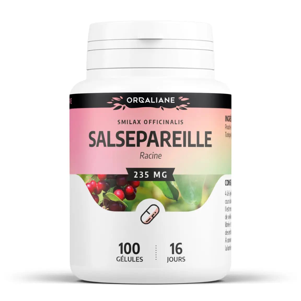 Salsepareille 100 gélules