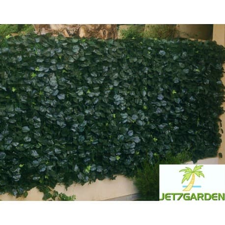 Haie Artificielle de Jardin JET7GARDEN en PVC Lierre Duo 300 x 100 cm