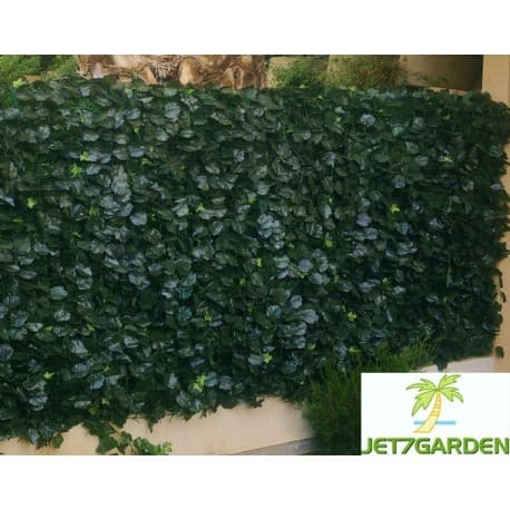 Haie Artificielle de Jardin JET7GARDEN en PVC Lierre Duo 300 x 150 cm