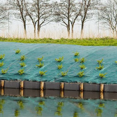 Toile de Paillage Paysager en Polypropylène Tissé 90g/m² - 2x5m - Vert