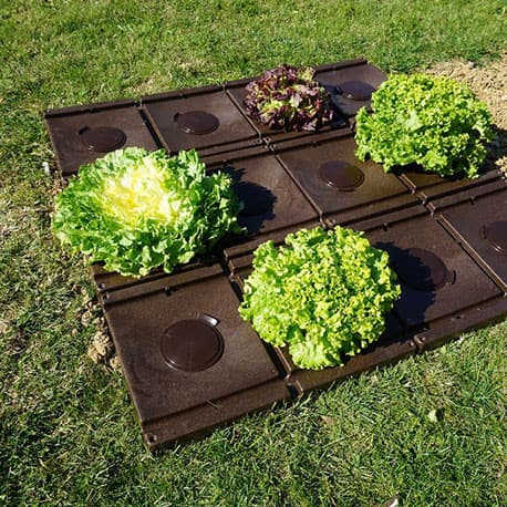 Pack 6 Plaques de Paillage Rigides Modul’opak 57 x 37 x 4 cm avec 6 Bouchons