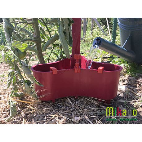 Pack 6 Réservoir d’eau pour Tuteurs Mikado Contenance 2L - Couleur Cerise