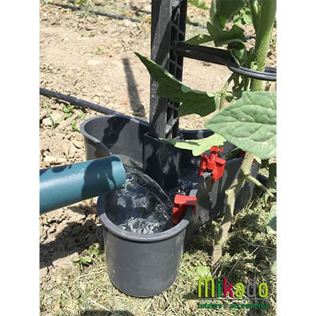 Pack 6 Réservoir d’eau pour Tuteurs Mikado Contenance 2L - Couleur Anthracite