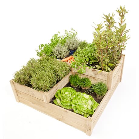 Carre Potager Milos sur 3 hauteurs en Pin Imprégné sous Pression – 4 compartiments – 96x96x40cm