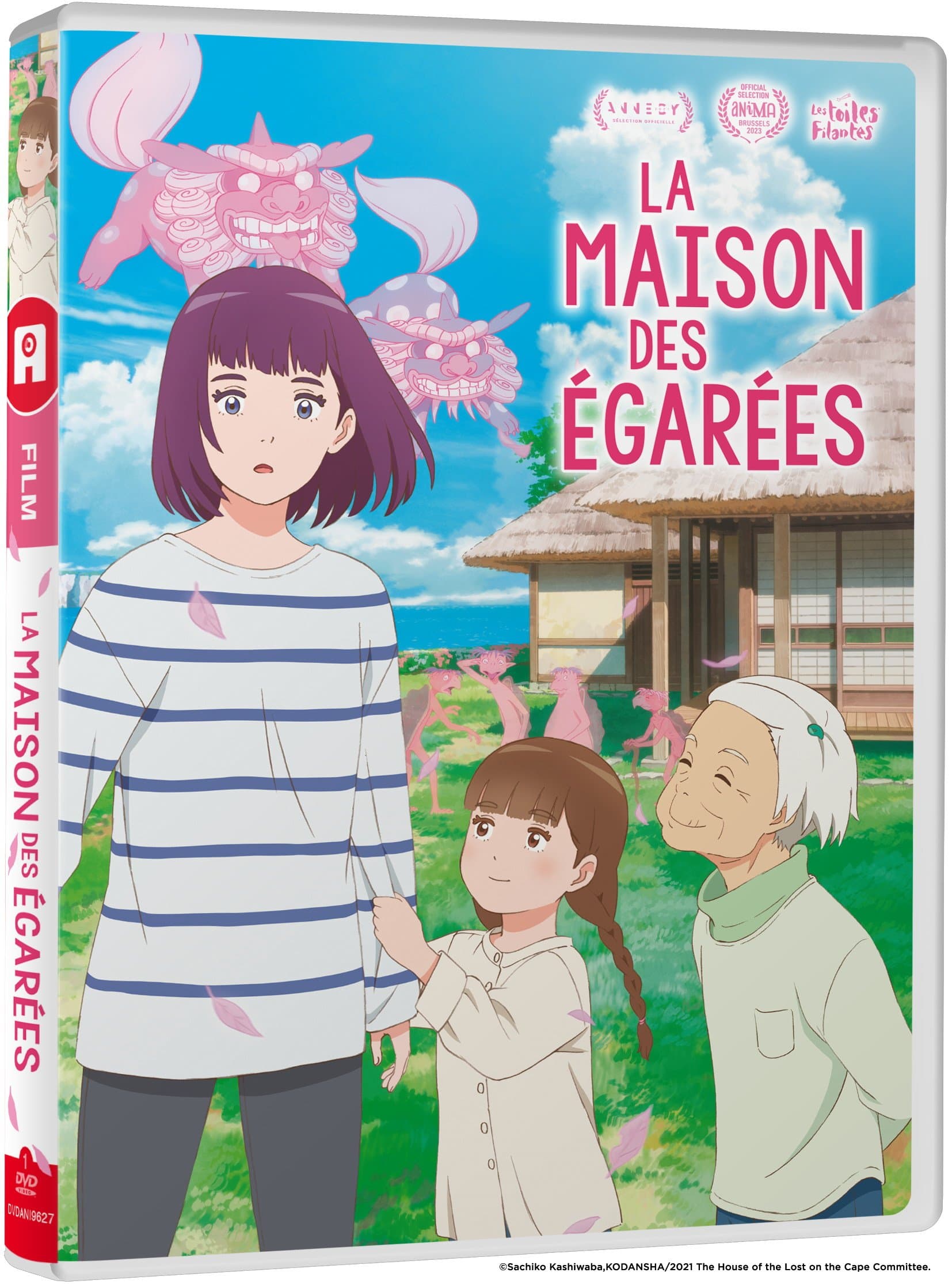 La Maison des Égarées - Film - DVD