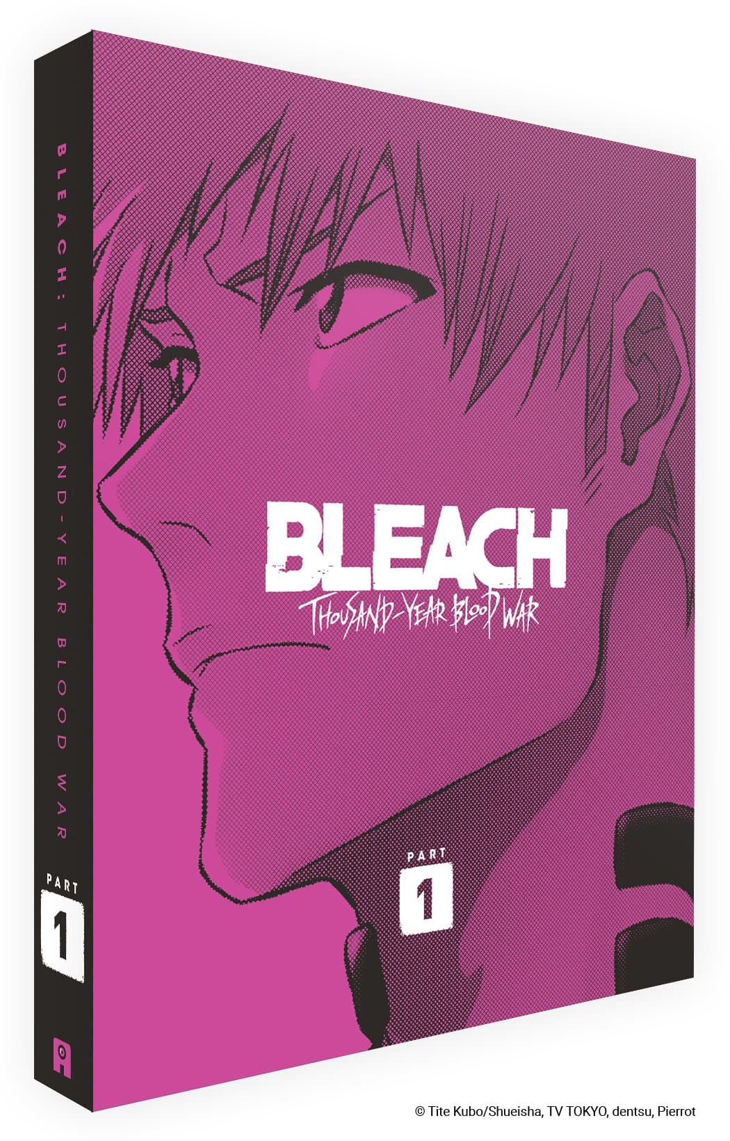 Bleach : Thousand-Year Blood War - Partie 1 - Collector - Coffret DVD