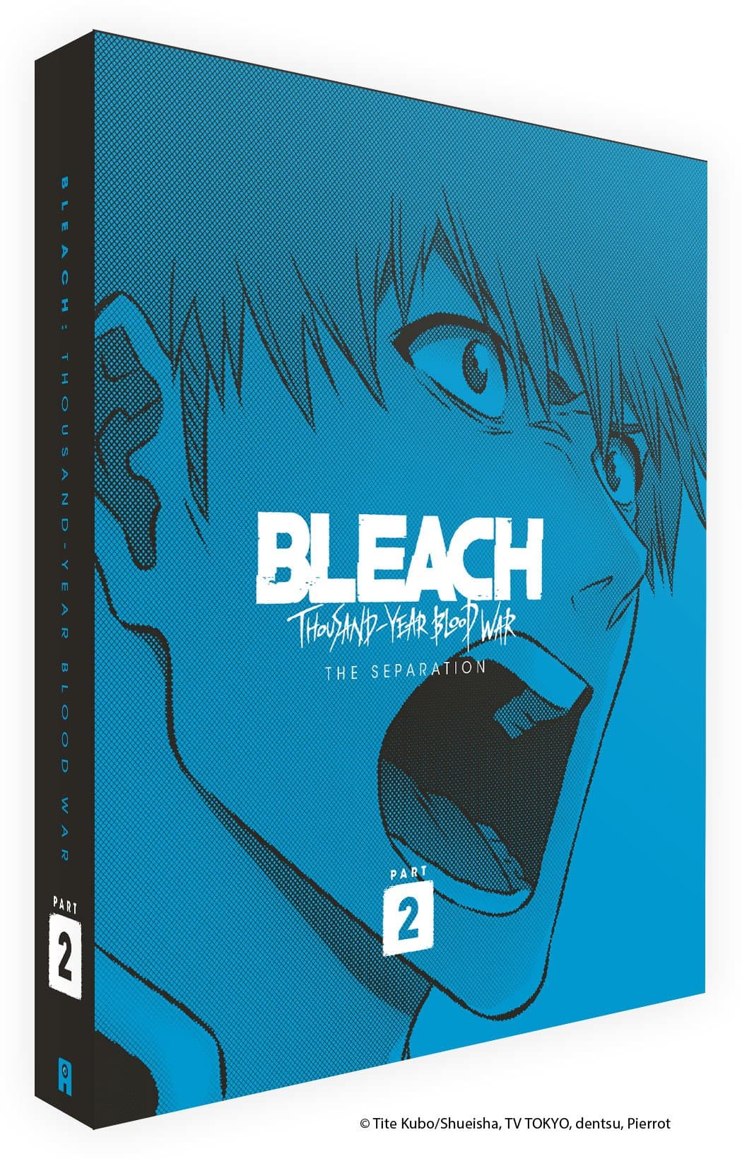 Bleach : Thousand-Year Blood War - Partie 2 - Collector - Coffret DVD