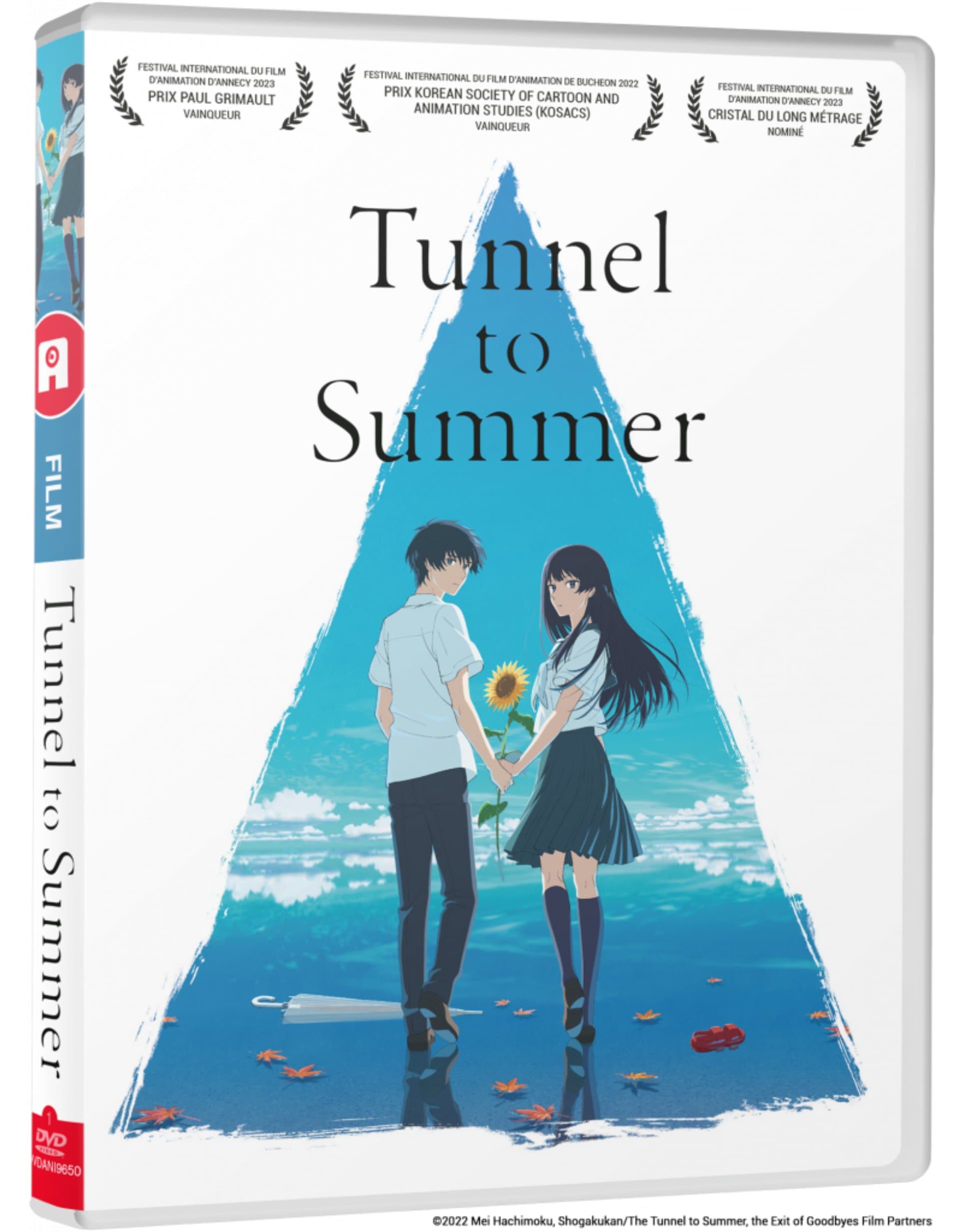 Tunnel to Summer - Film - DVD