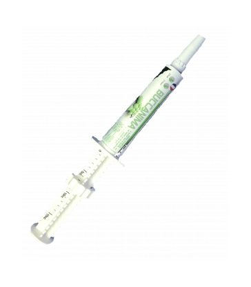 Buccanimal .gel oral seringue de 15 ml