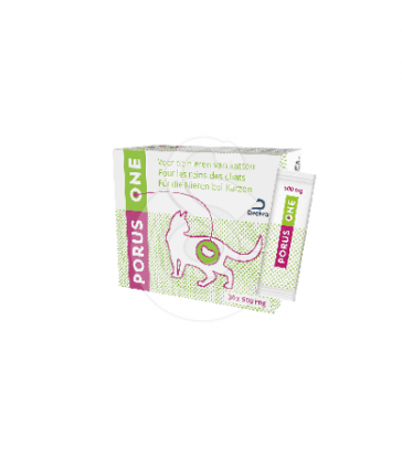 Porus one 500 mg chat