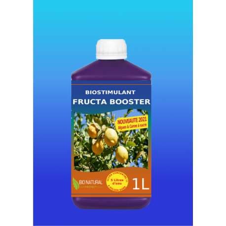 Fructa booster 1l