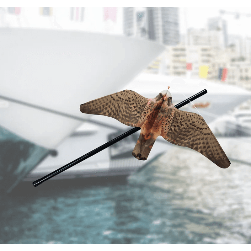 STOPGULL Falcon - contre les faucons & mouettes 5m