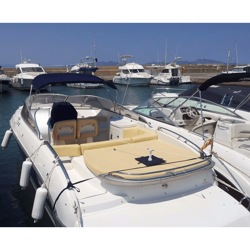 Support lesté Anti-mouettes pour pont - STOPGULL