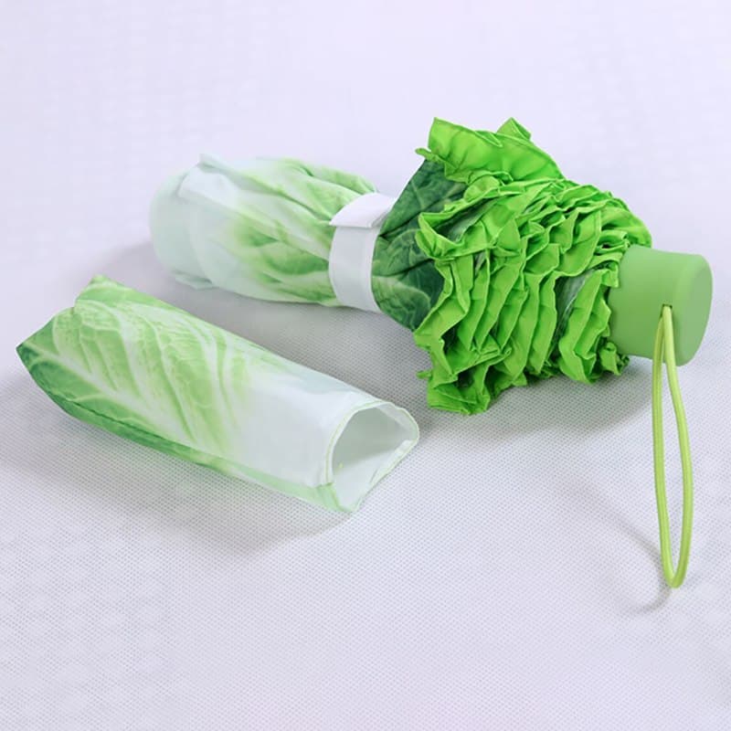 Parapluie Salade Laitue