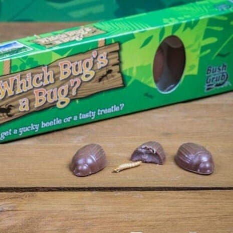 Chocolats Surprise - Insectes