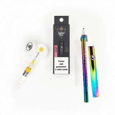 Pack Stache Rainbow & Golden Buds expert Gelato