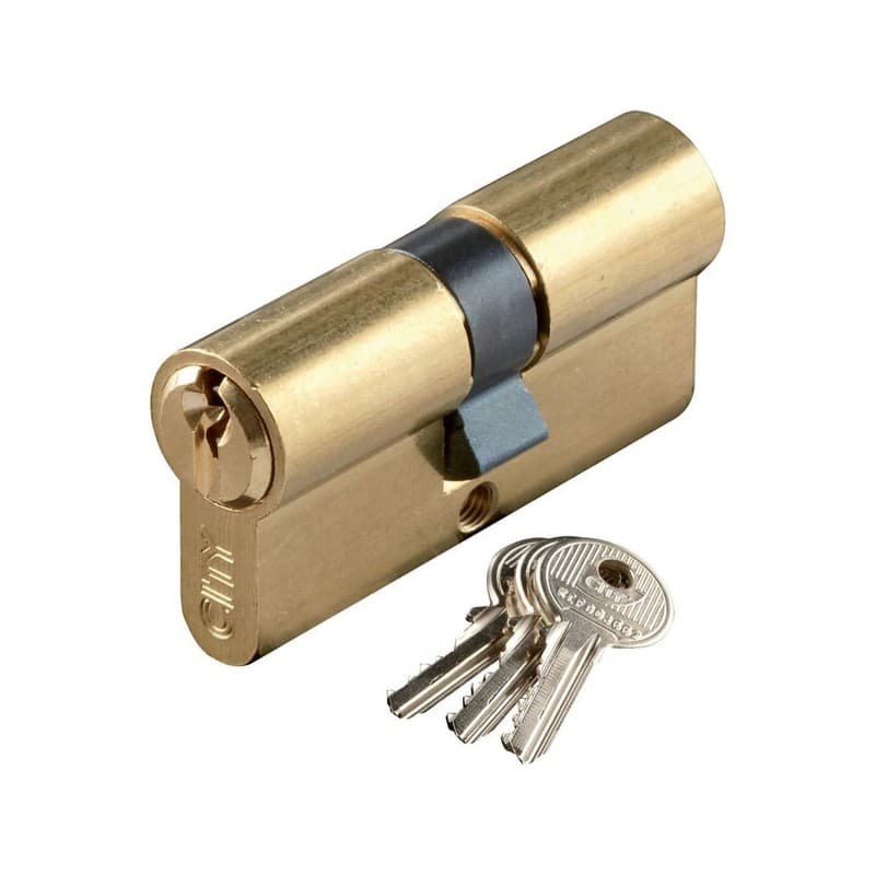 Cylindres 5 goupilles city 5g cylindre city 5 g 30 x 40 mm varié laiton poli 3 clés varié double 30 x 40 mm laiton 1 pièce(s) - iseo france