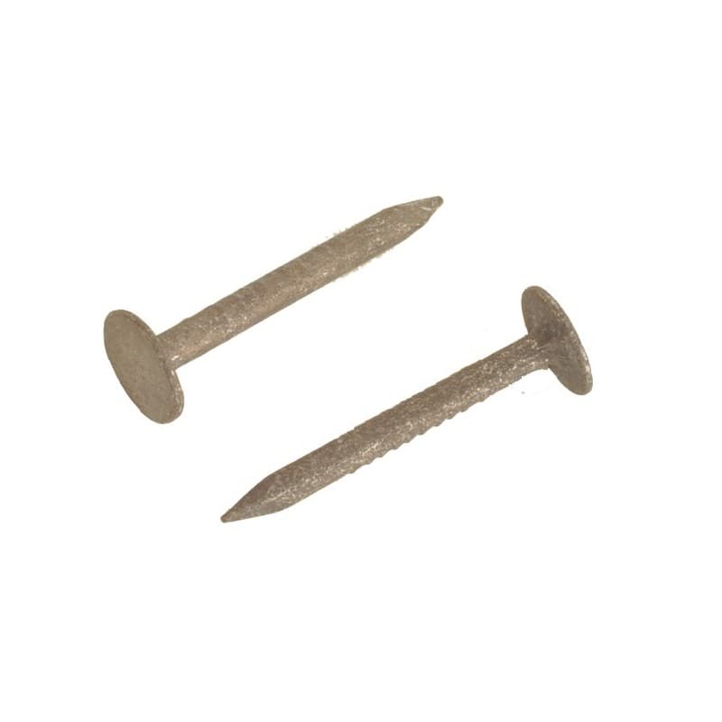 Pointes ardoise tĂȘte extra large - galvanisĂ©es pointe tĂȘte extra-large galvanisĂ©e Ăž 3 x 40 mm 40 mm 3 mm bois, bois dur lisse acier galvanisĂ© extra-la