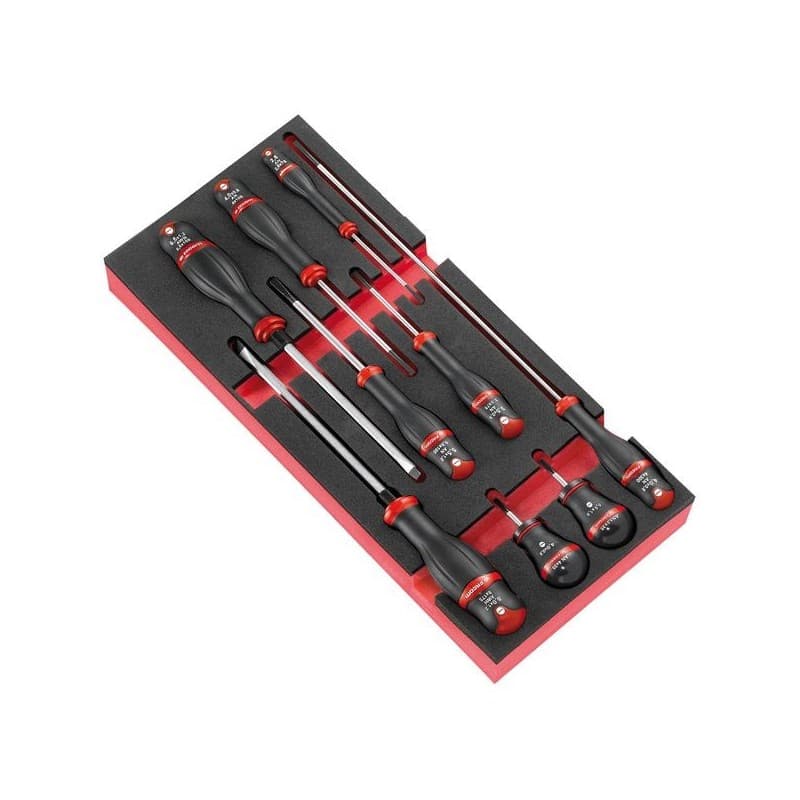 Module mousse tournevis protwist® fentes 1 jeu(x) de 9 pièce(s) module mousse tournevis protwist® fentes module 9 - facom