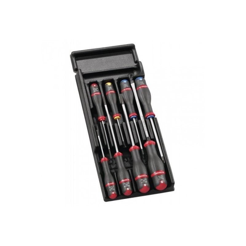 Module tournevis protwist® fente/ph/pz 1 jeu(x) de 8 pièce(s) module tournevis protwist® fente/ph/pz module 8 - facom