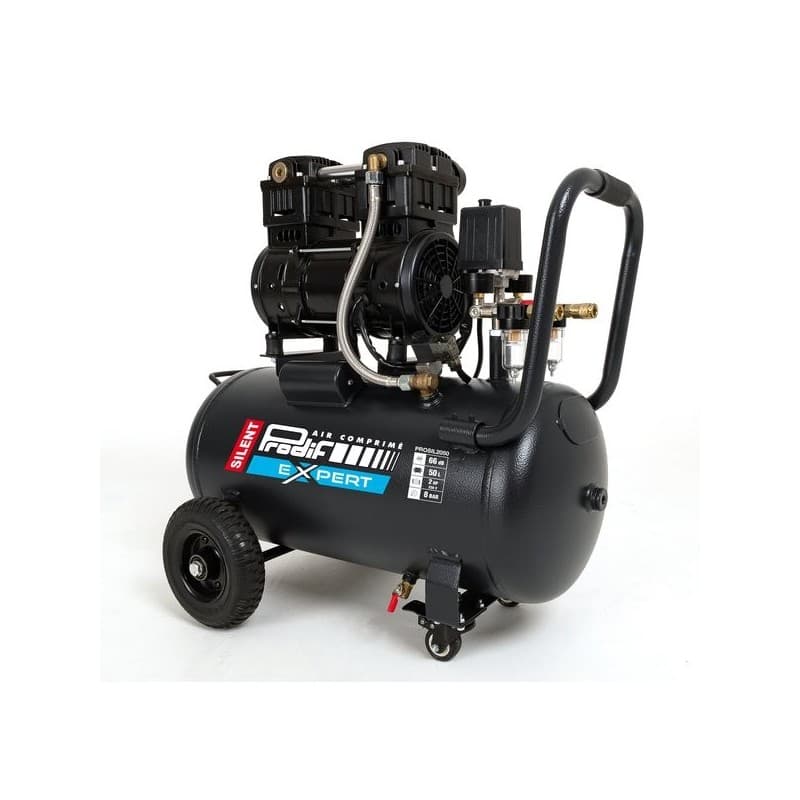 Compresseur silencieux 50l 10.2 m3/h 41 kg 1 pièce(s) compresseur silencieux 50l 10.2 m3/h 50 litre(s) 8 bar 2 cv mobile 66 dba 10.2 m³/min - prodif