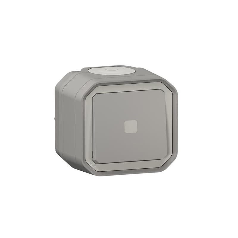 Interrupteur étanche en saillie plexo (nouvelle version) interrupteur temporisé lumineux plexo gris 1 pièce(s) monobloc en saillie temporisé - legrand