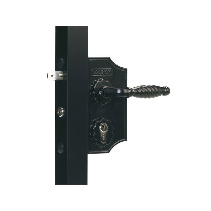 Serrure lapy et laky fl2 pour portail battant 1 pièce(s) serrure de portail battant sur profil plat 10 à 30 mm - locinox