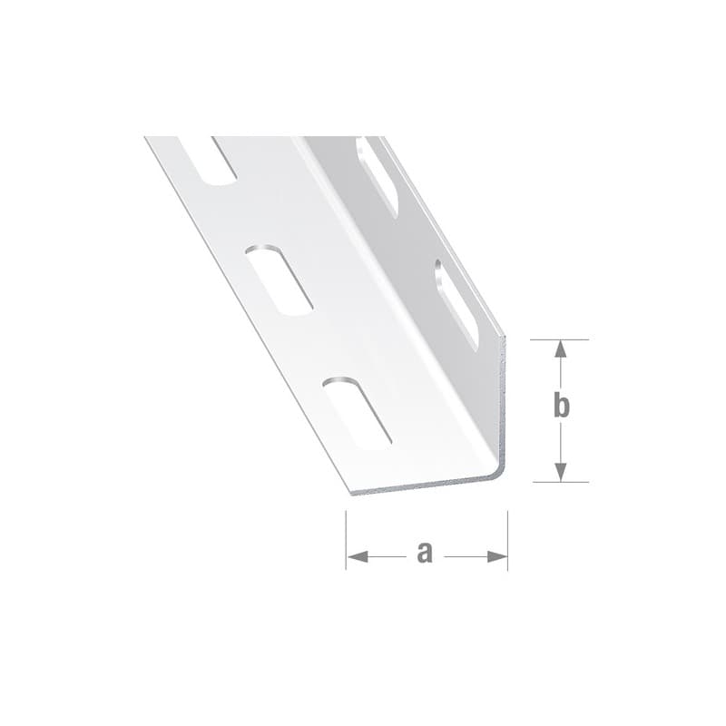 Cornière perforée acier profilé à froid 1 barre(s) de 2 mètre(s) linéaire cornière perforée 27 x 27 x 1,2 mm - acier paf époxy blanc - cqfd